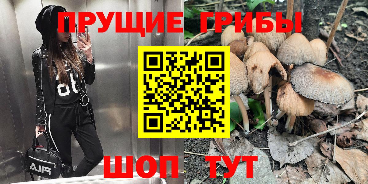 Сухой Лог  Галлюциногенные грибы GOLDEN TEACHER  Вход с VPN 
